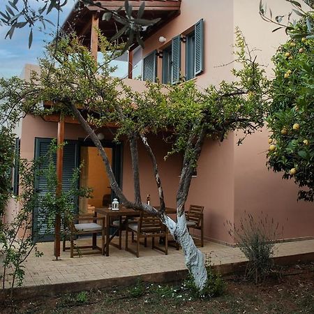 Glarosmaisonette Kato Daratso Dış mekan fotoğraf