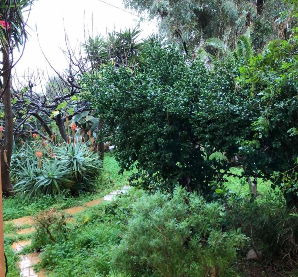 Glarosmaisonette Kato Daratso Dış mekan fotoğraf