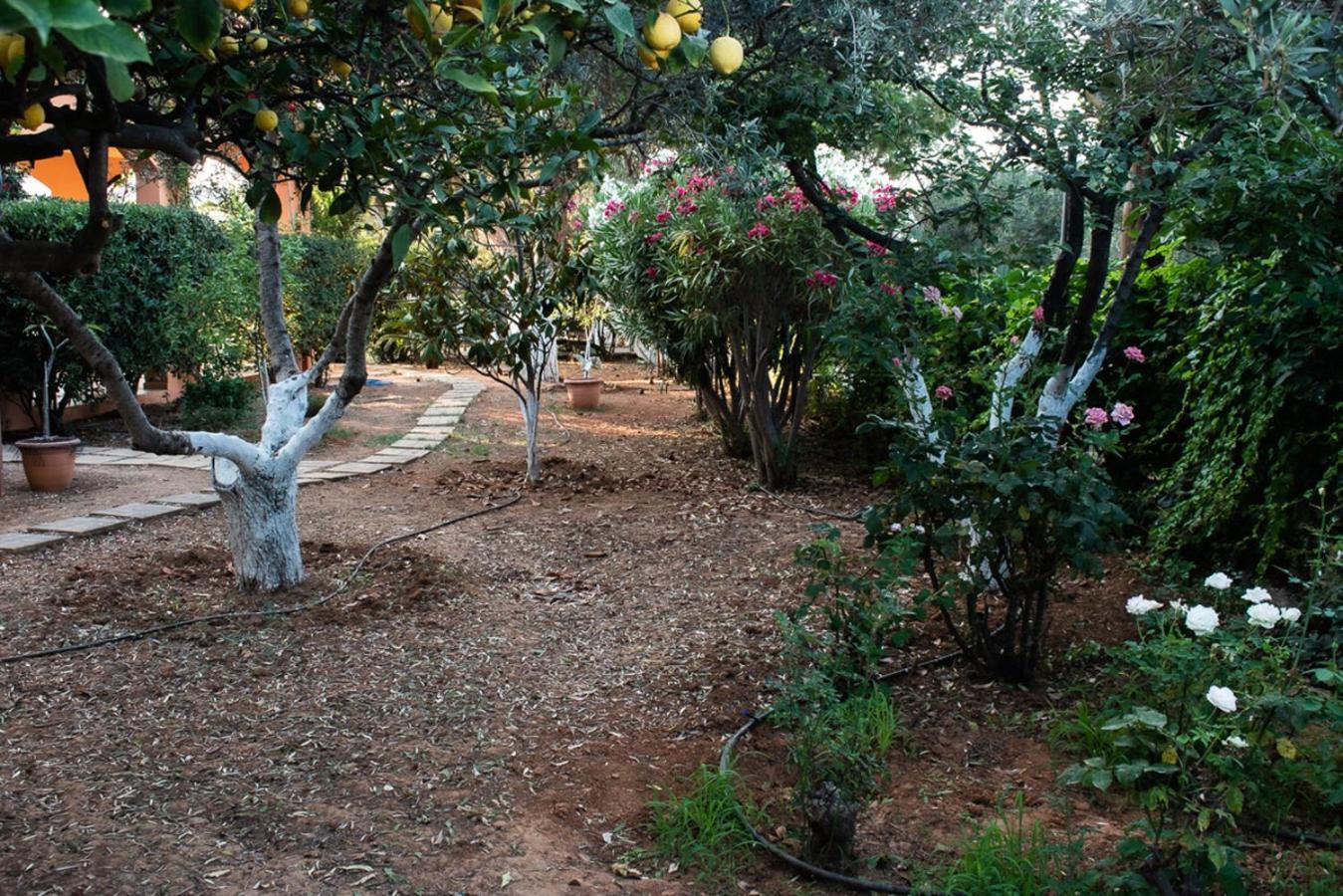Glarosmaisonette Kato Daratso Dış mekan fotoğraf